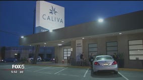 Jay-Z partnering with cannabis company