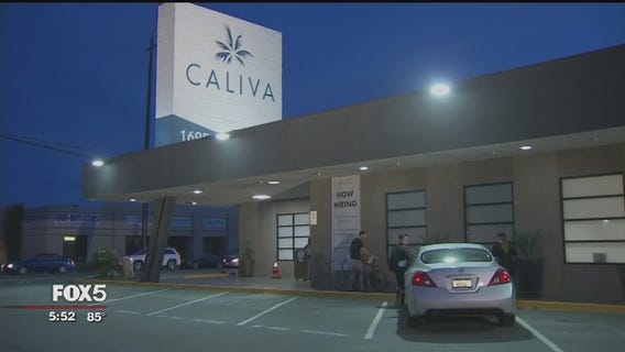 Jay-Z partnering with cannabis company