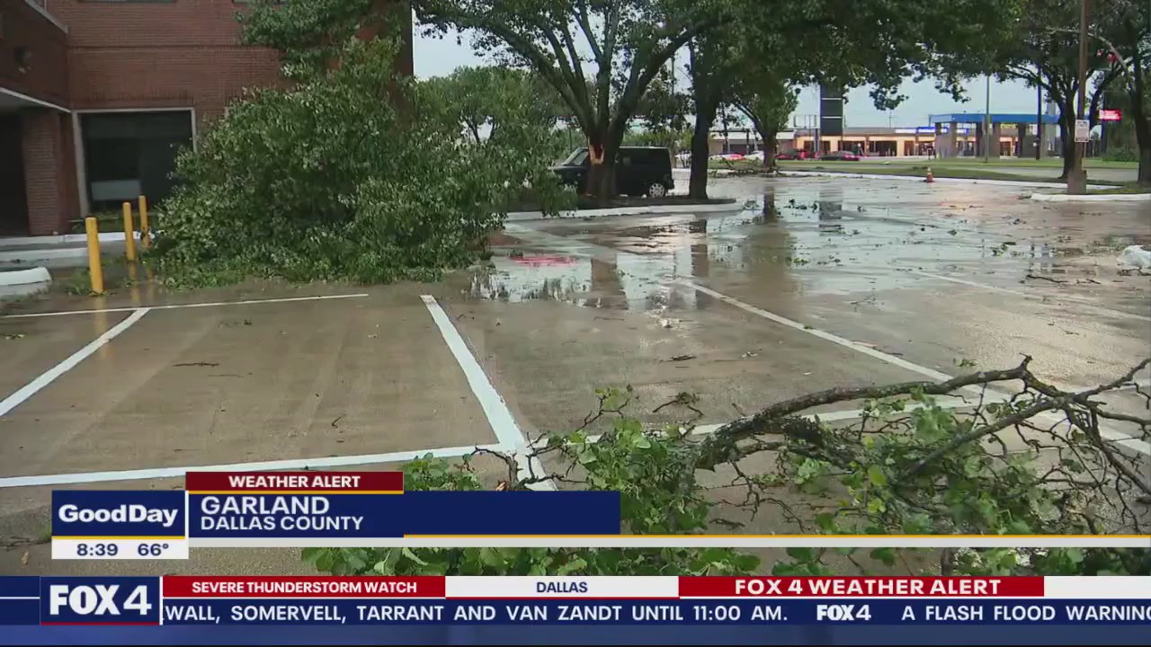 Trees damaged by Tuesday morning storms
