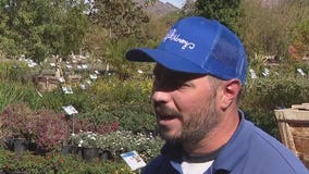 It's time to seed your lawn before Arizona heats up