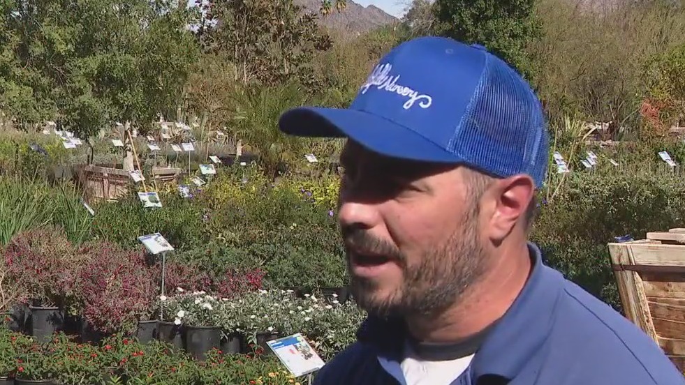 It's time to seed your lawn before Arizona heats up