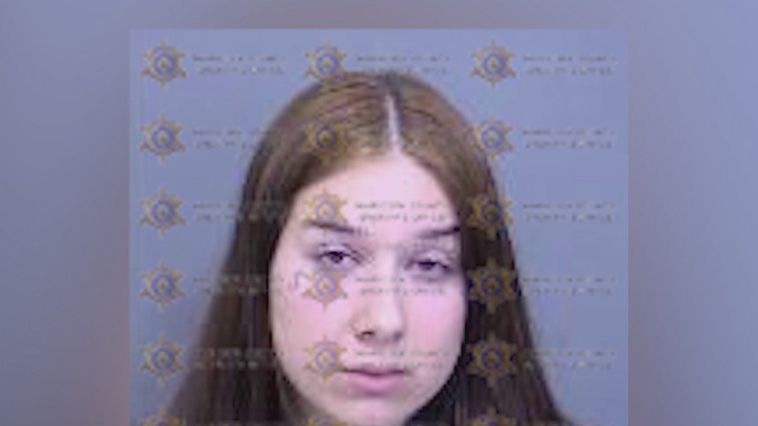 Woman arrested in deadly Phoenix rideshare crash