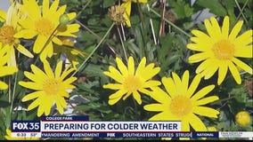 Preparing for colder weather