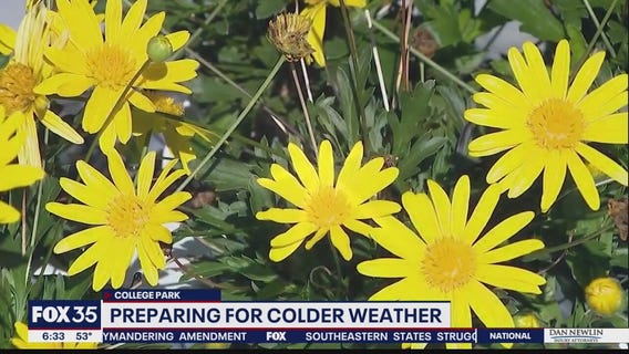 Preparing for colder weather