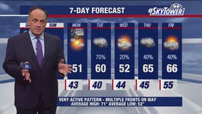 Tampa weather | Clear skies and cool temperatures in Bay Area