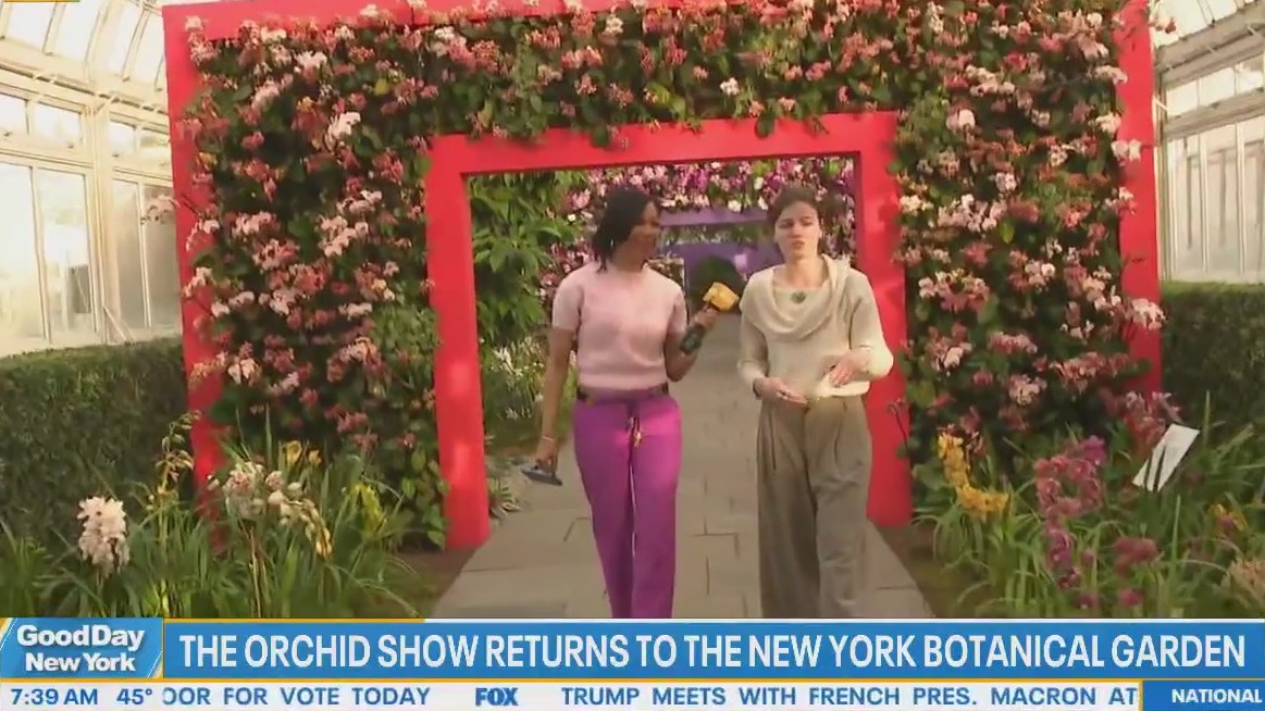 The Orchid Show returns to the New York Botanical Garden