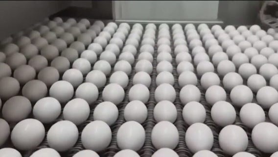 Millions of egg-laying chickens quarantined in Indiana