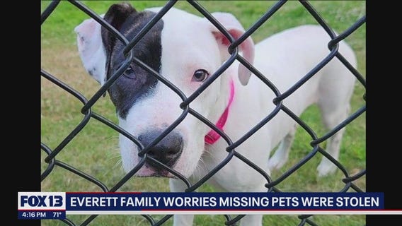 Everett family worries missing pets were stolen