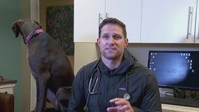 Pet tips from Dr. Eric
