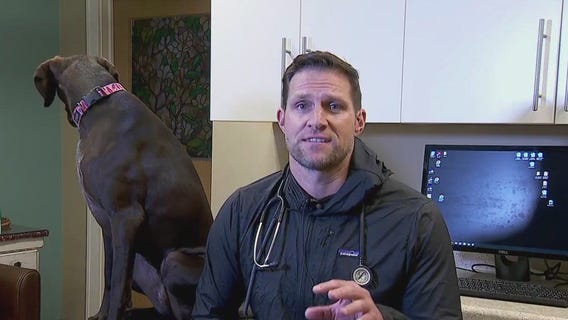 Pet tips from Dr. Eric
