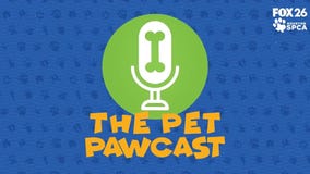 Pet Pawcast: How To Fix Dog Breath