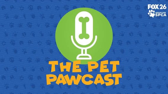 Pet Pawcast: How To Fix Dog Breath