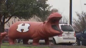 Study shows life lasts longer in Hutto than anywhere else in Texas