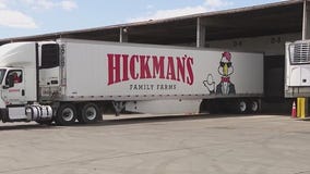 Bird flu fallout forces sale of Hickman's Family Farms