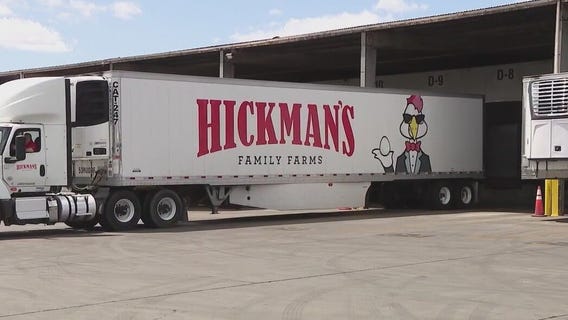 Bird flu fallout forces sale of Hickman's Family Farms
