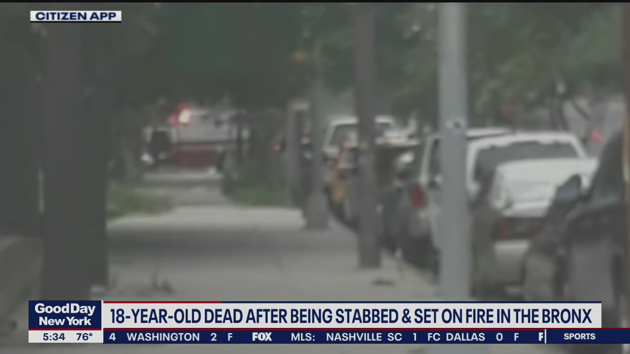 Bronx teen stabbed, set on fire | FOX 5 New York