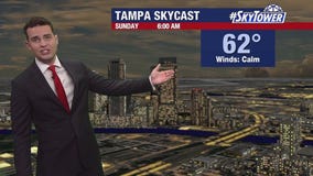 Tampa Weather | Calm winds heading into the evening