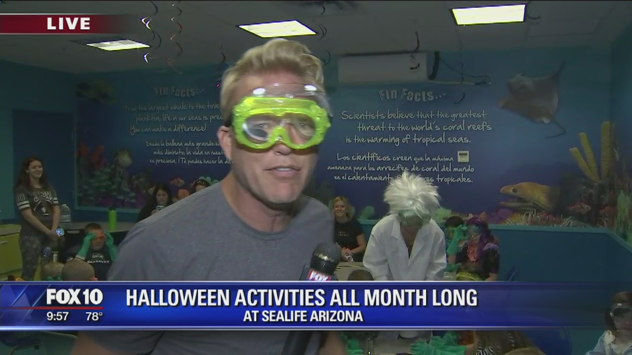 Underwater pumpkin carving at Sea Life Arizona