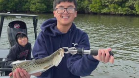 Cold-tolerant species to bite as temperatures drop