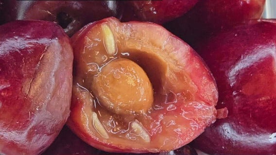 Maggot-filled cherries found at Metro Airport