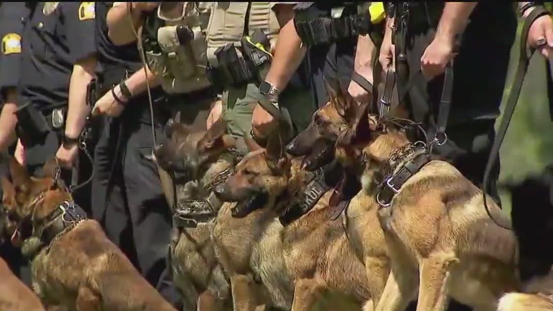 St. Paul K9 class celebrates graduation day