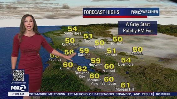 Chilly forecast