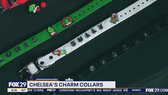 Chelsea's Charm Collars: Bling out your dog's custom collar with festive charms