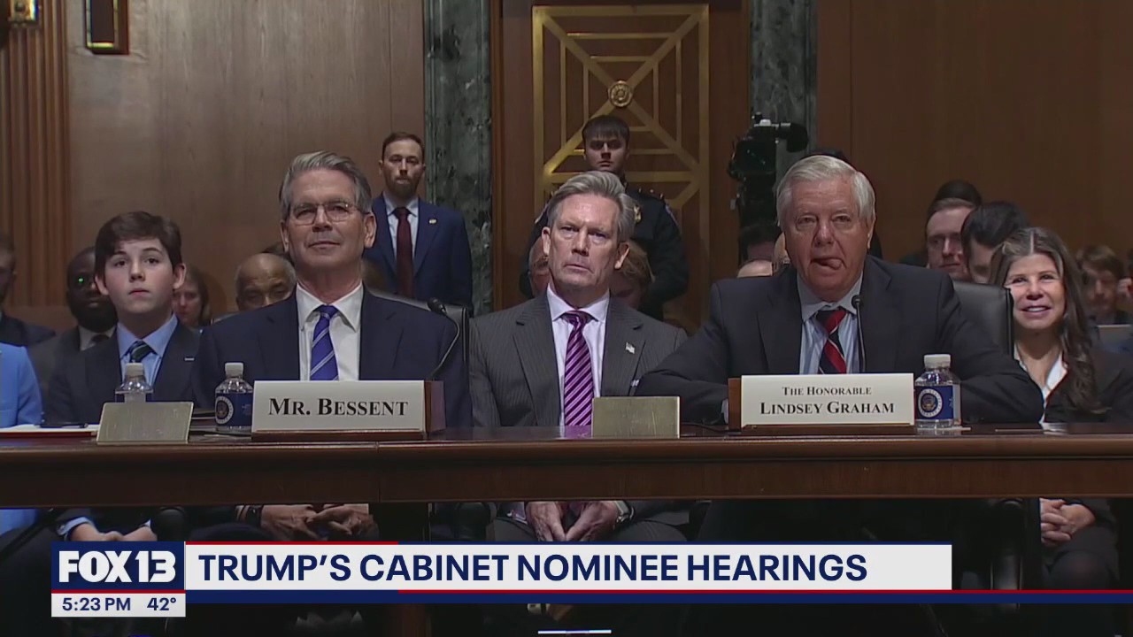 Trump's cabinet nominees testify in confirmation hearings