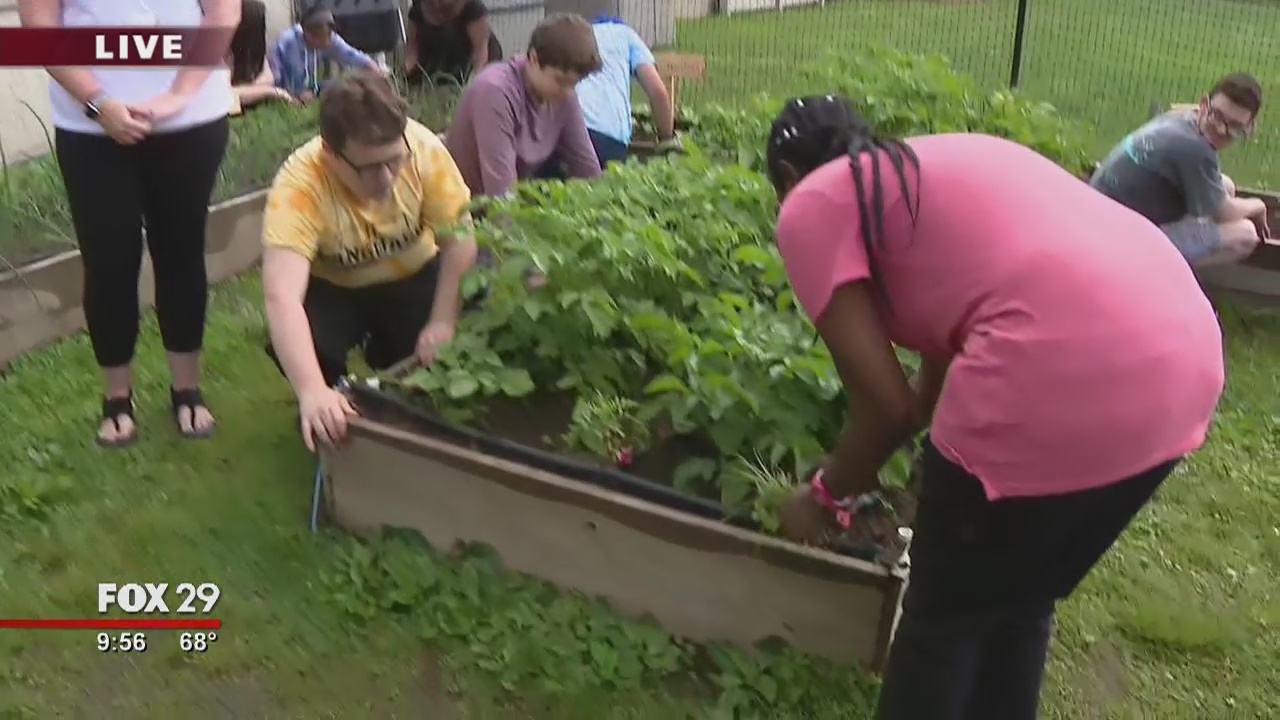 Kelly's Classroom: The Vanguard School