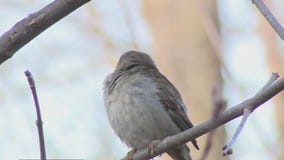Checking out birds at Schlitz Audubon Nature Center