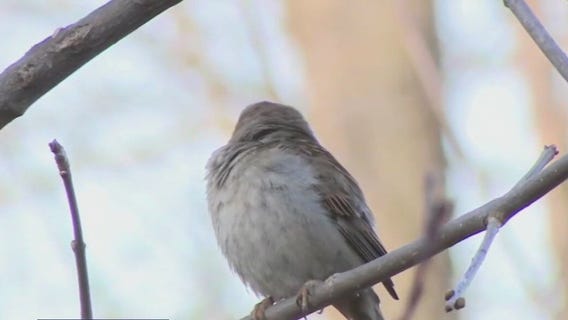 Checking out birds at Schlitz Audubon Nature Center