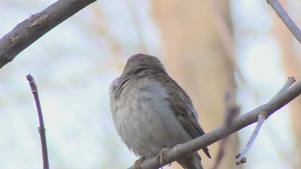 Checking out birds at Schlitz Audubon Nature Center
