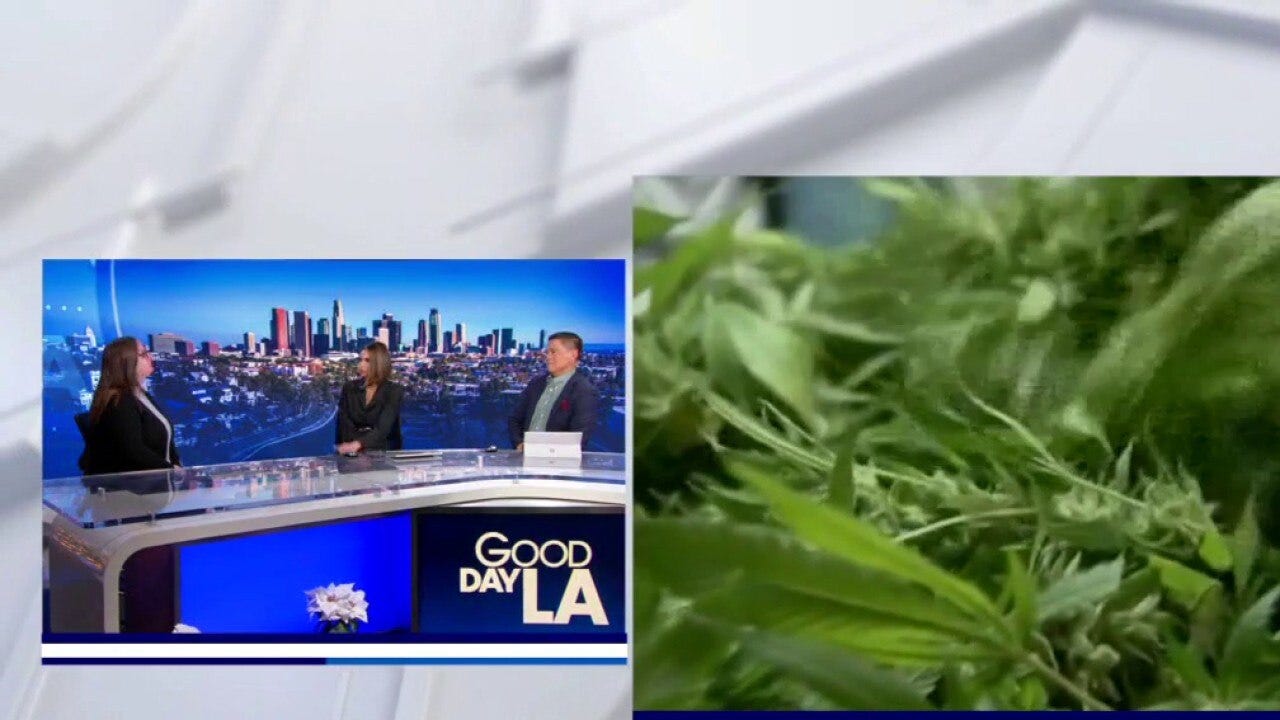 What reclassifying marijuana means for Americans