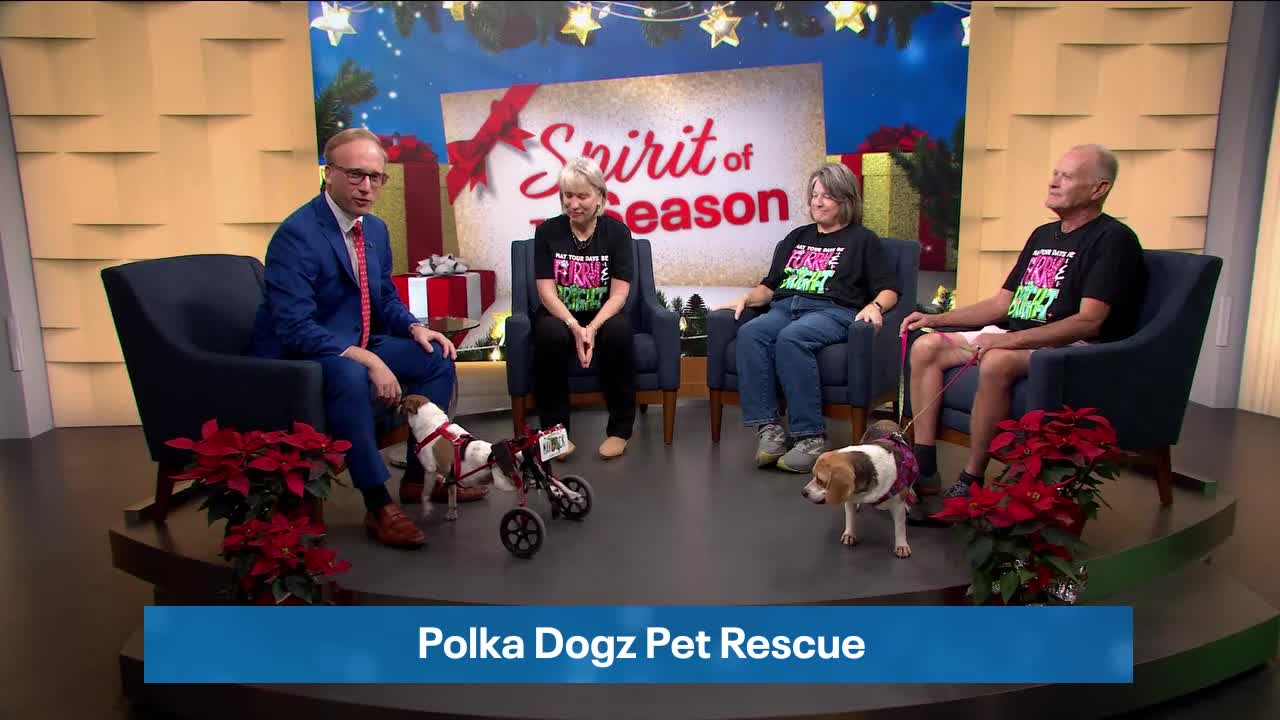 Polka Dogz Pet Rescue
