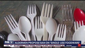 Chicago ordinance proposed to ban restaurants from 'single-use foodwear'