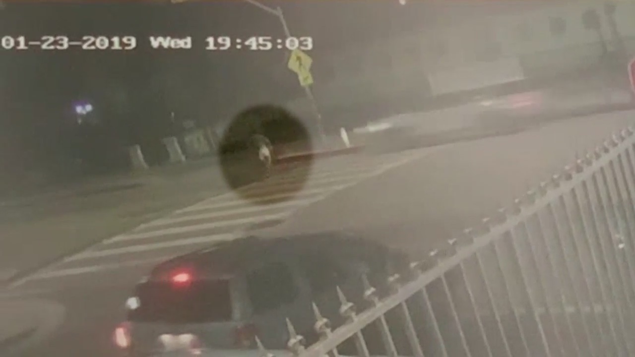 Westlake man killed by distracted driver