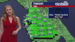 Tampa weather | Clear skies on Saturday night