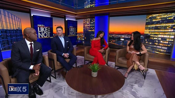 LION: November 8, 2024