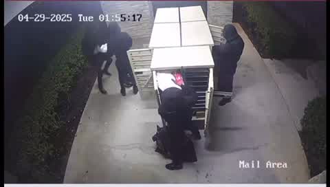 Florida suspects steal more than 200 pounds of mail and go on shopping spree