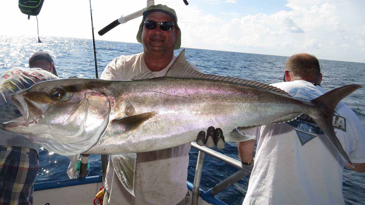 Amberjack season opens in May