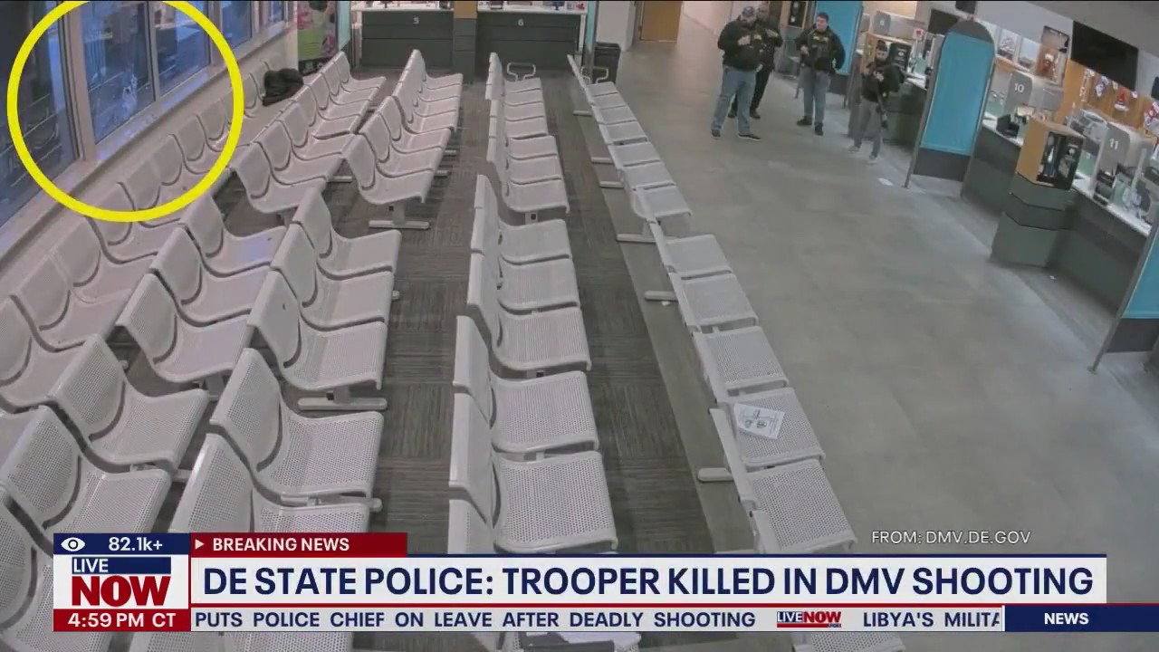 State trooper shot 'execution-style,' witnesses say