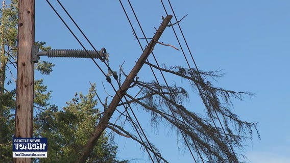 Windstorm knocks out for to 400k+ in WA
