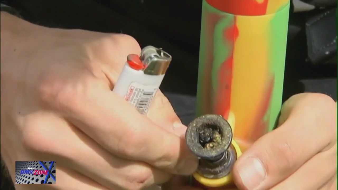 How much marijuana do Marylanders consume?