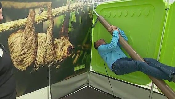 Mission Safari at Como Zoo in St. Paul