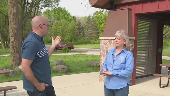 Picnics in Minooka Park
