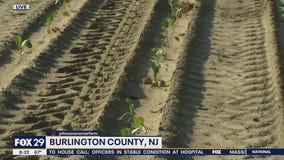Richard stops by Johnson's Corner Farm in Medford