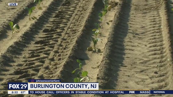 Richard stops by Johnson's Corner Farm in Medford