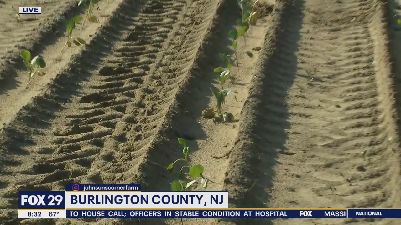 Richard stops by Johnson's Corner Farm in Medford