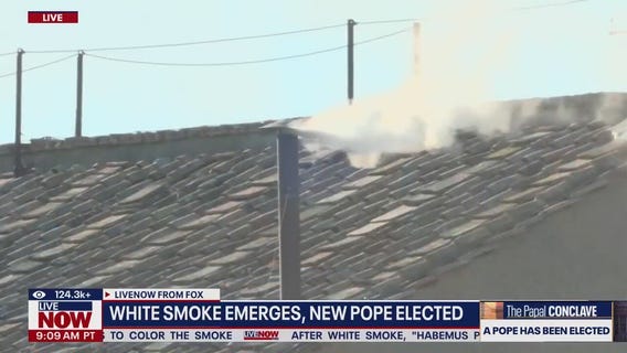White smoke emerges; new pope selected