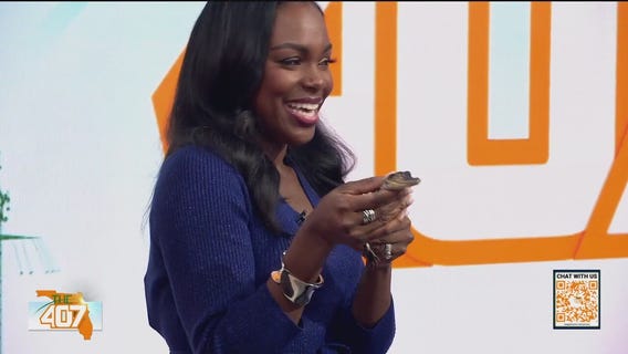 Meet Swampy! The newest, cutest gator at Gatorland